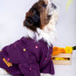 15 Furries Purple Wine Mirrorwork Dog Kurta
