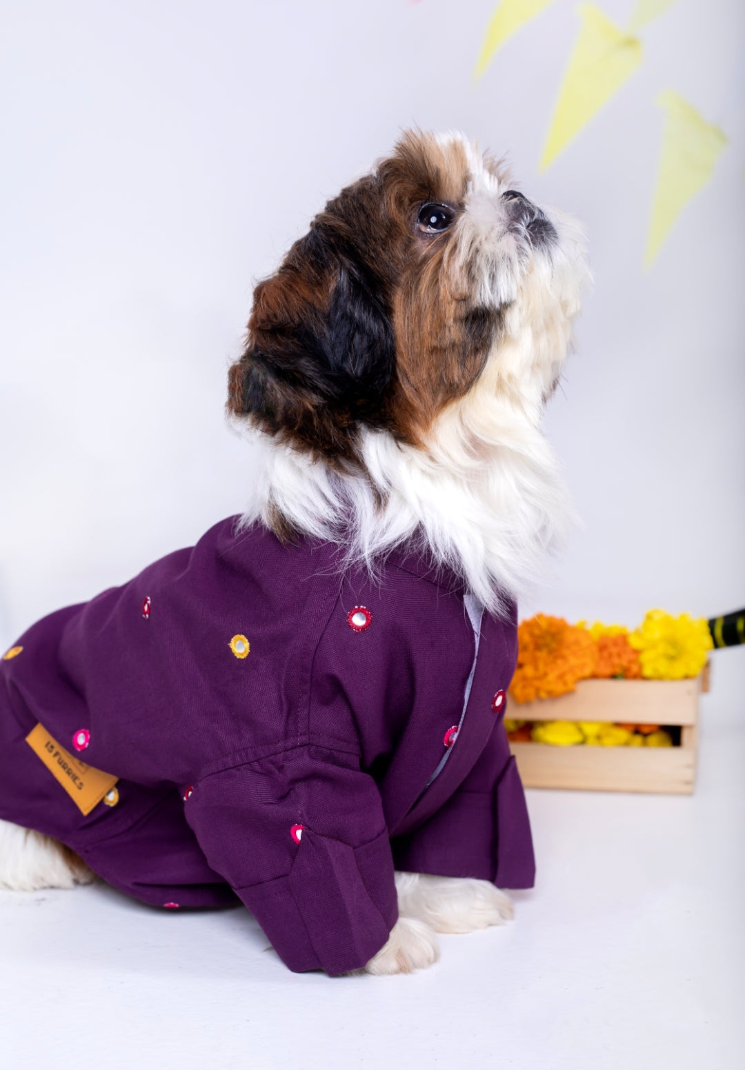 15 Furries Purple Wine Mirrorwork Dog Kurta