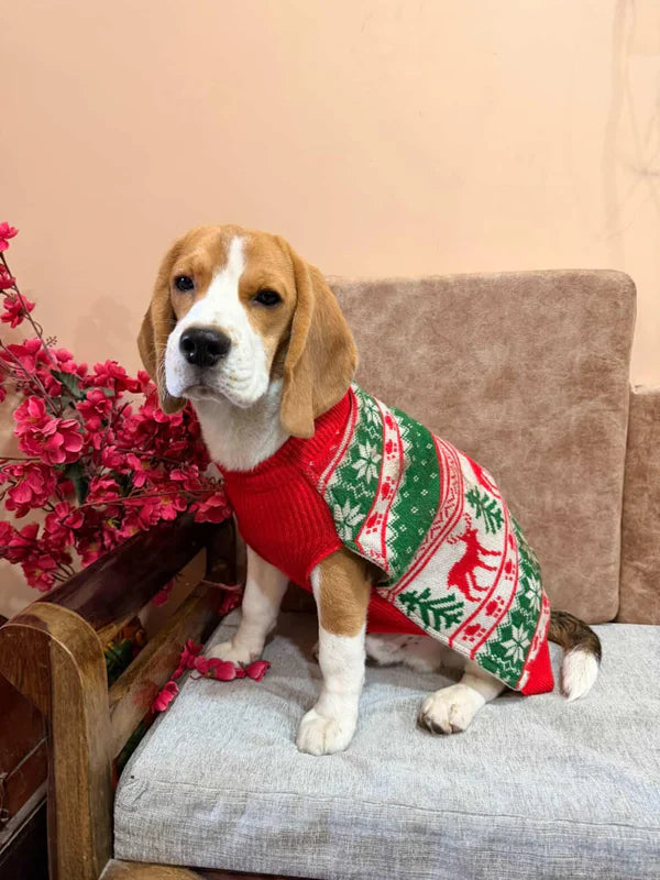 Pet Snugs Christmas Sweater For Your Furry Friend