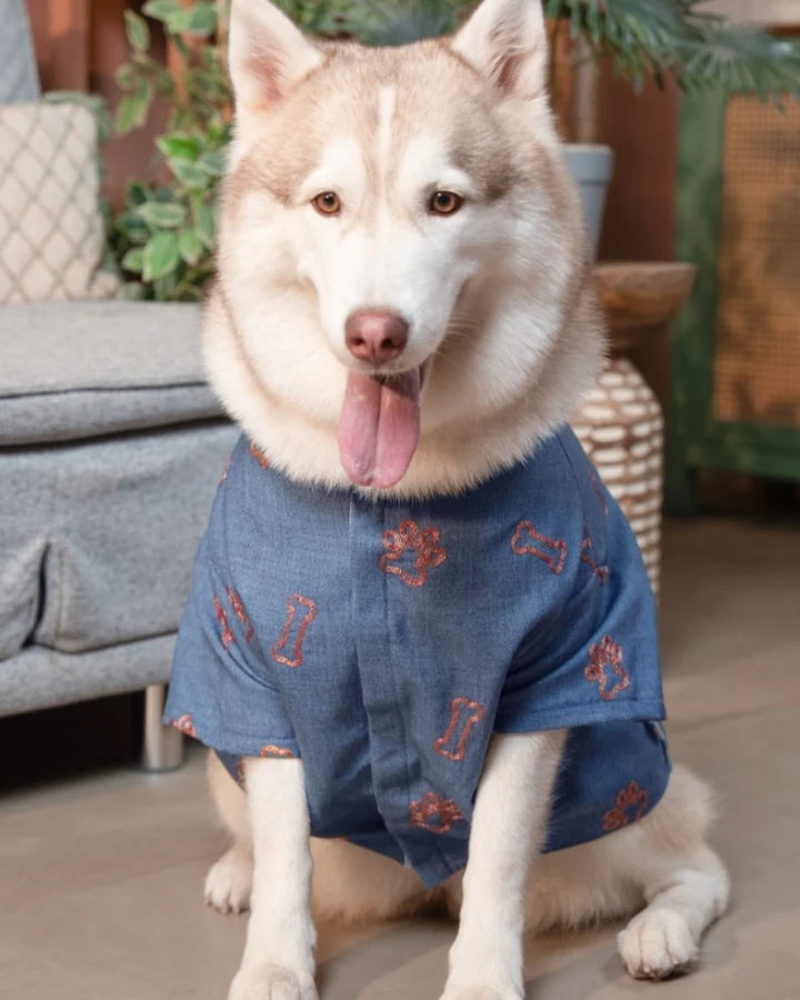 15 Furries Desi Denim Dog Kurta Indigo