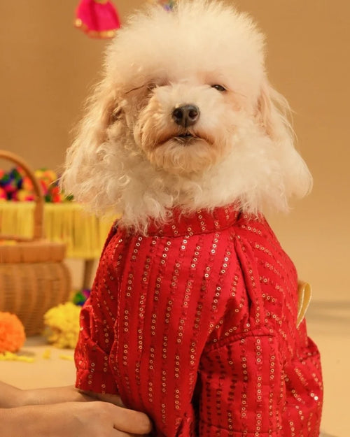 15 Furries Furwali Festive Dog Kurta with Dupatta Royal Red