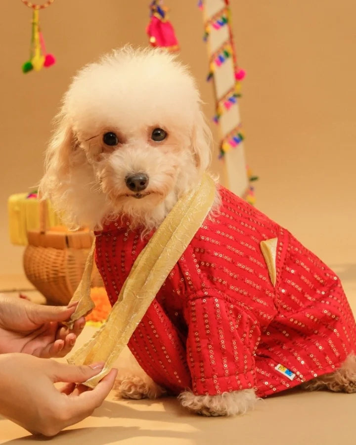 15 Furries Furwali Festive Dog Kurta with Dupatta Royal Red