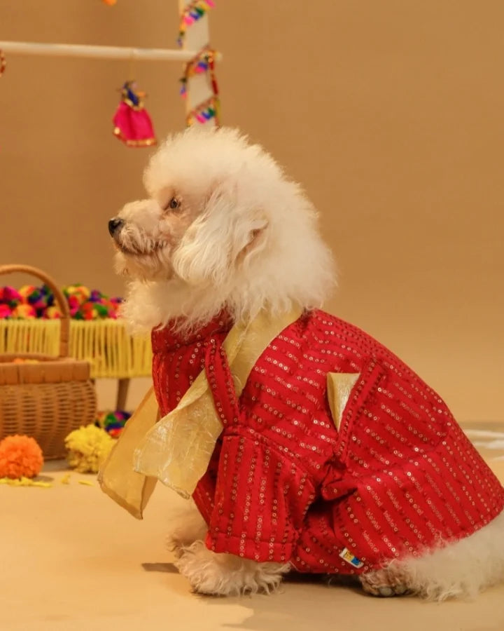 15 Furries Furwali Festive Dog Kurta with Dupatta Royal Red
