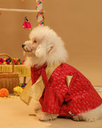 15 Furries Furwali Festive Dog Kurta with Dupatta Royal Red