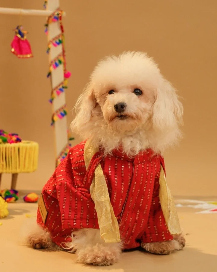 15 Furries Furwali Festive Dog Kurta with Dupatta Royal Red