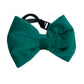 Tails Nation Green Bow Tie with Strap for Dogs & Cats