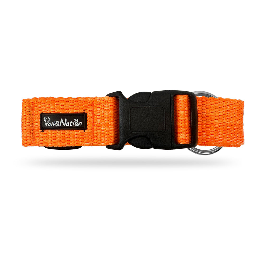 Tails Nation Bright Orange Super Comfy Melange Collar for your Pooch