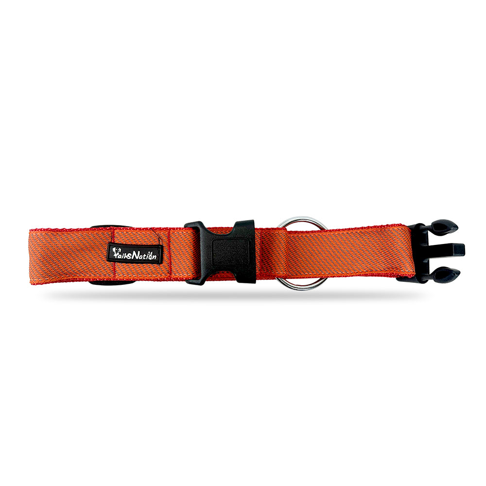 Tails Nation Sports Collar Orange For Your Friend