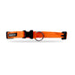 Tails Nation Bright Orange Super Comfy Melange Collar for your Pooch