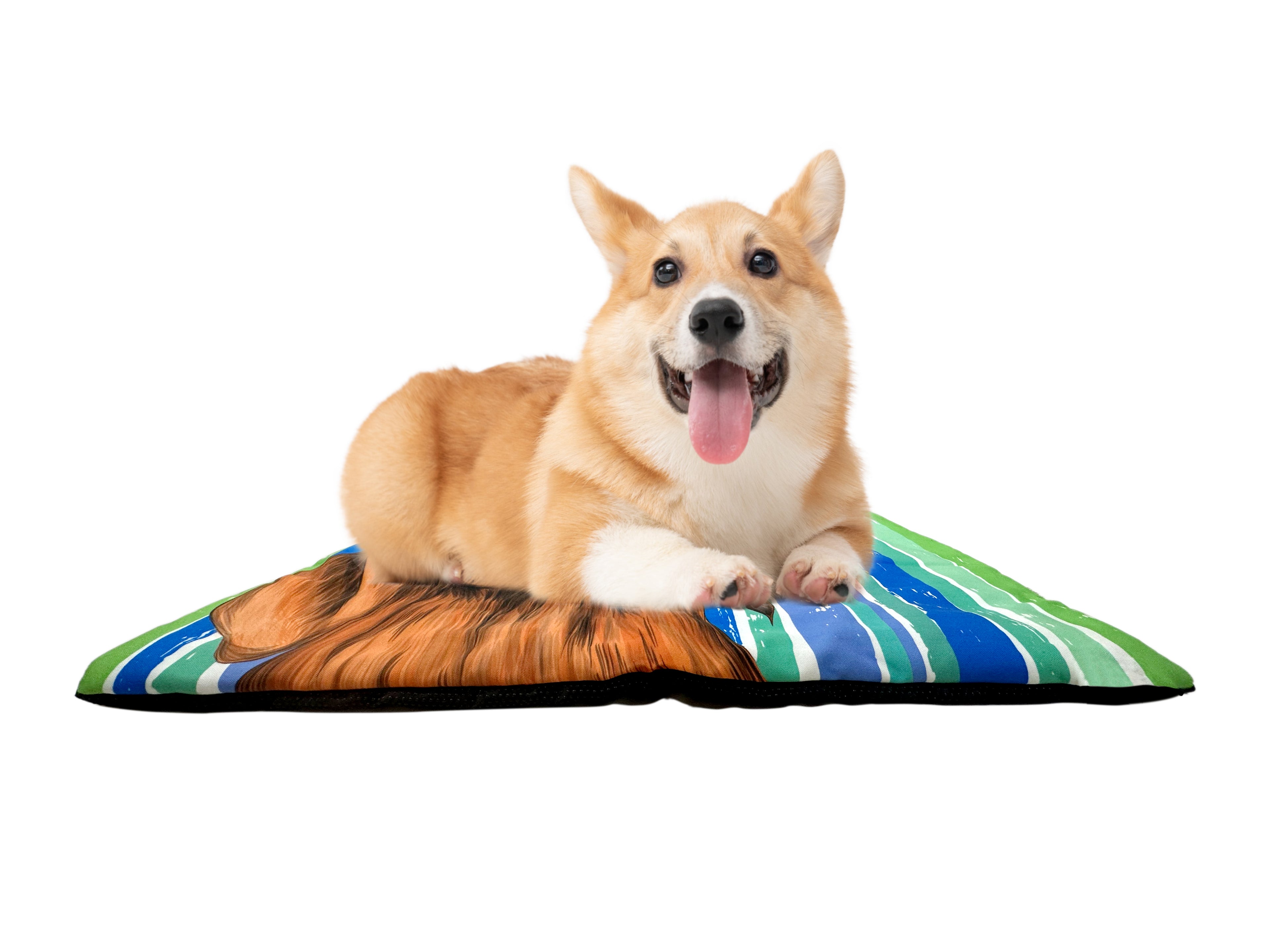 Tails Nation Dog Printed Mat