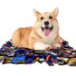 Tails Nation Shaggie Playmat For Your Furry Friend - Multi Color