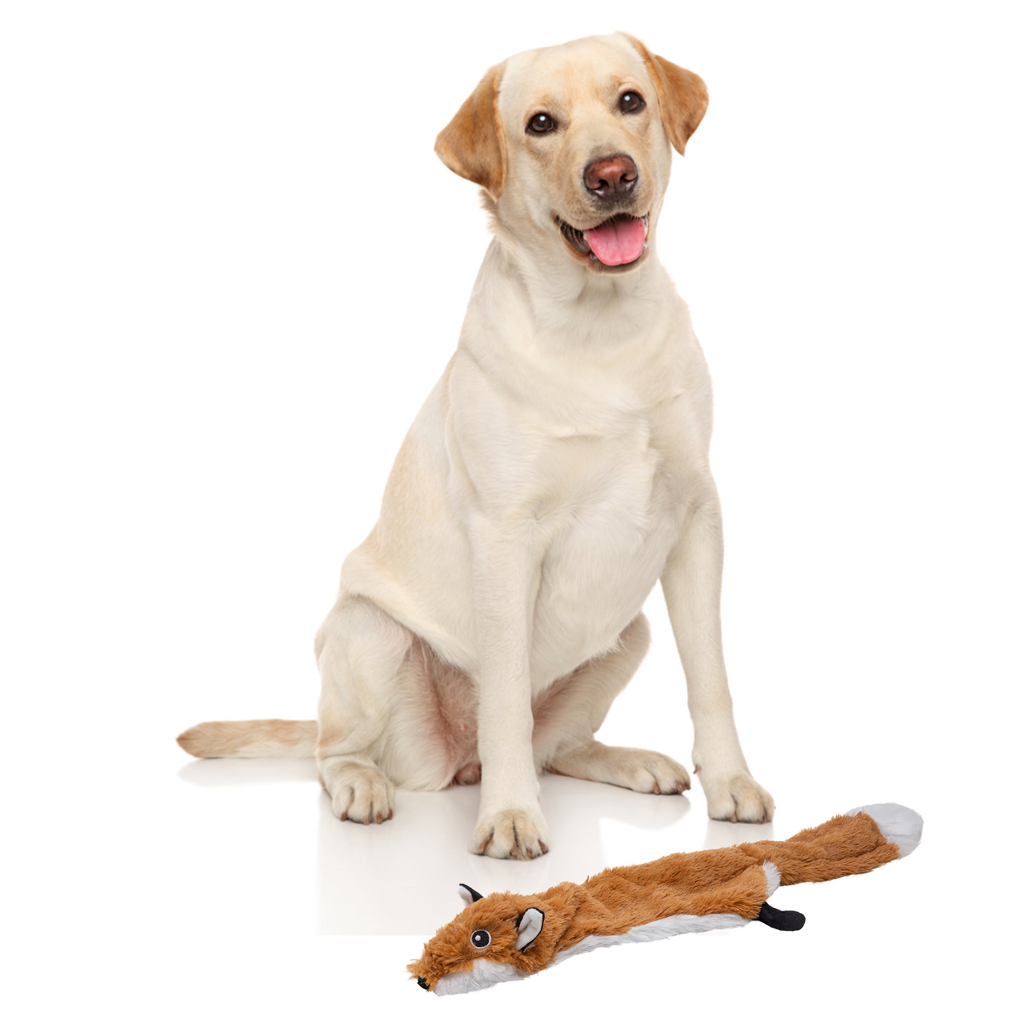 FOFOS Dog Toy Skinneez Fox 55 x 22 x 5 cm