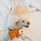 FOFOS Glove Plush Fox Dog Toy 20 x 16 x 5cm