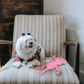 FOFOS Fluffy Pig Pink Dog Toy 31.5 x 29 x 9 cm