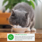 Inaba Dashi Delight Chicken Recipe Cat Treat 70g