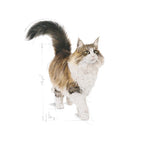 Royal Canin Instinctive Loaf Mousse Wet Cat Food 85gm