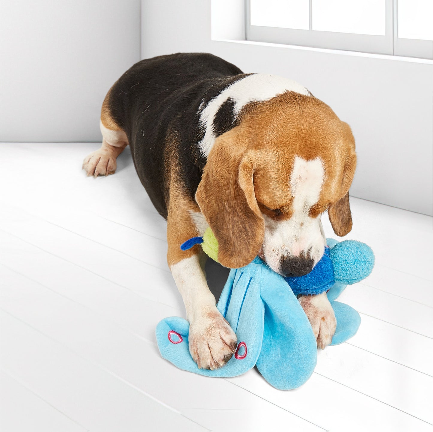 FOFOS Jumbo Butterfly Blue Dog Toy 48 x 10 x 28 cm