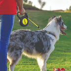 Kong Retractable Terrain Dog Leash Yellow 5m I Up To 30kg I Medium