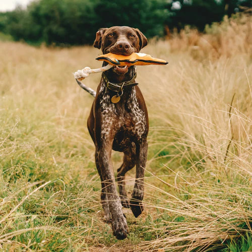Beco Recycled Rough & Tough Kangaroo Dog Toy