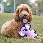 Beco Recycled Rough & Tough Koala Dog Toy