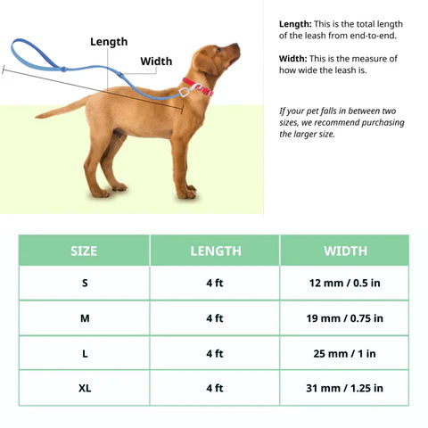 Basil Rope Leash for Dogs & Puppies 4 Feet Yellow & Pink Small