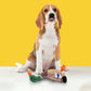 FOFOS Plush Dog Toy Wild Duck 33 x 5 x 9 cm