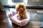 Pawpourri Lilac Cuddly Lounger Bed For Dog 17 x 21 x 7''