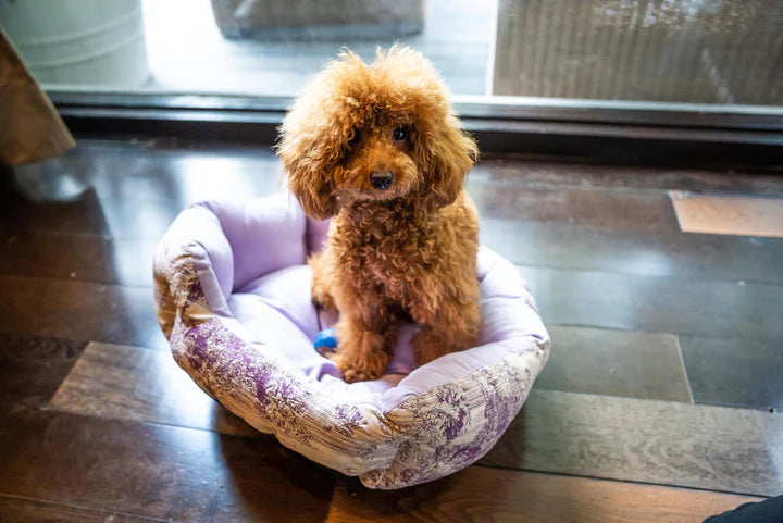 Pawpourri Lilac Cuddly Lounger Bed For Dog 17 x 21 x 7''