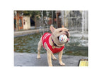 M-Pets Bloom Ball Mixed Color Toy For Dog 7cm