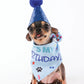 M-Pets Party Time Gentleman's Set