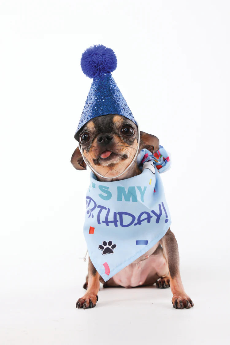 M-Pets Party Time Gentleman's Set