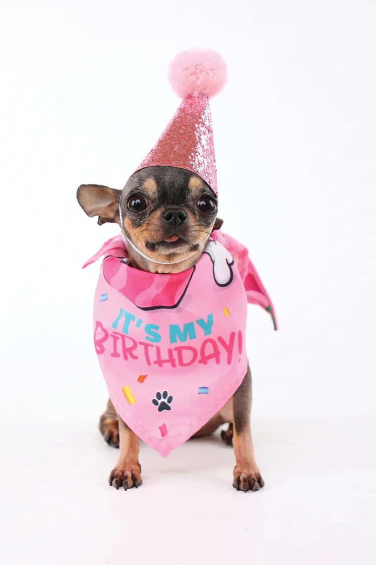 M-Pets Party Time Lady's Set