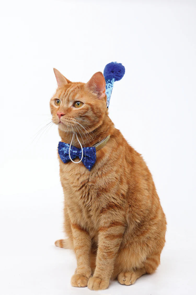 M-Pets Party Time Cat Gentleman's Set