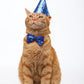M-Pets Party Time Cat Gentleman's Set
