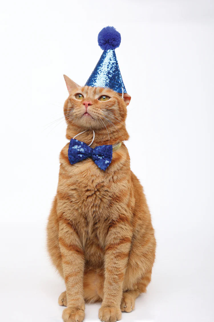 M-Pets Party Time Cat Gentleman's Set