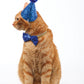 M-Pets Party Time Cat Gentleman's Set