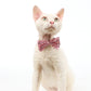 M-Pets Party Time Cat Lady's Set