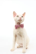 M-Pets Party Time Cat Lady's Set