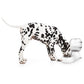 M-Pets Cylinder Water Dispenser For Dogs 3500m