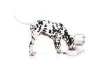 M-Pets Cylinder Water Dispenser For Dogs 3500ml
