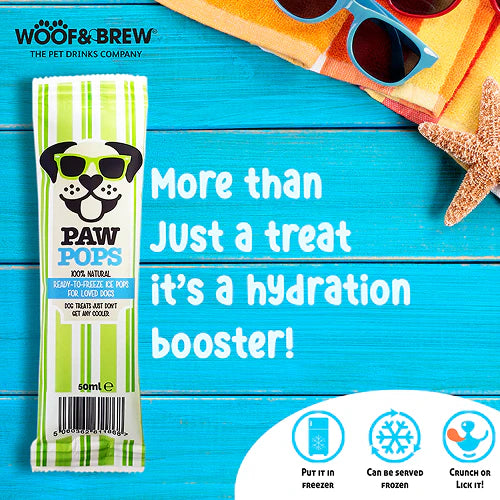 Woof & Brew Ice Paw Pops Dog Treat 6x30ml