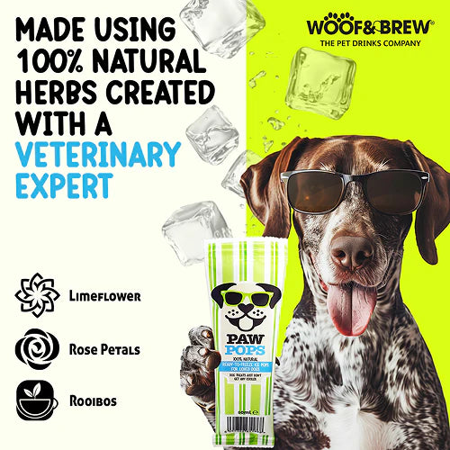 Woof & Brew Ice Paw Pops Dog Treat 6x30ml