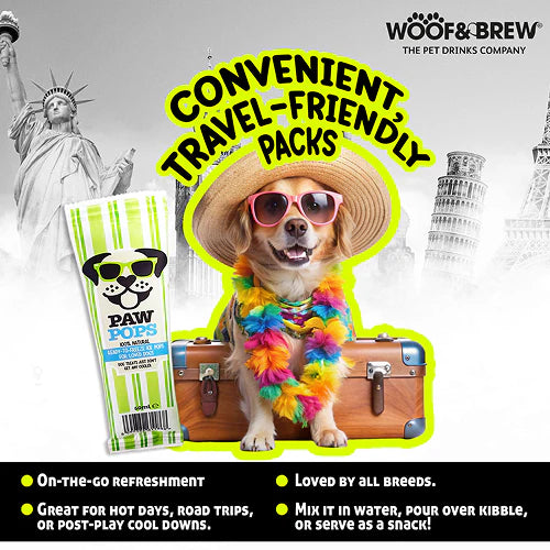 Woof & Brew Ice Paw Pops Dog Treat 6x30ml
