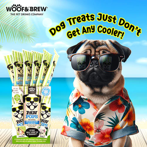 Woof & Brew Ice Paw Pops Dog Treat 6x30ml