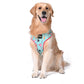 Mutt of Course Harry Potter Potions in Motions Harness For Dogs