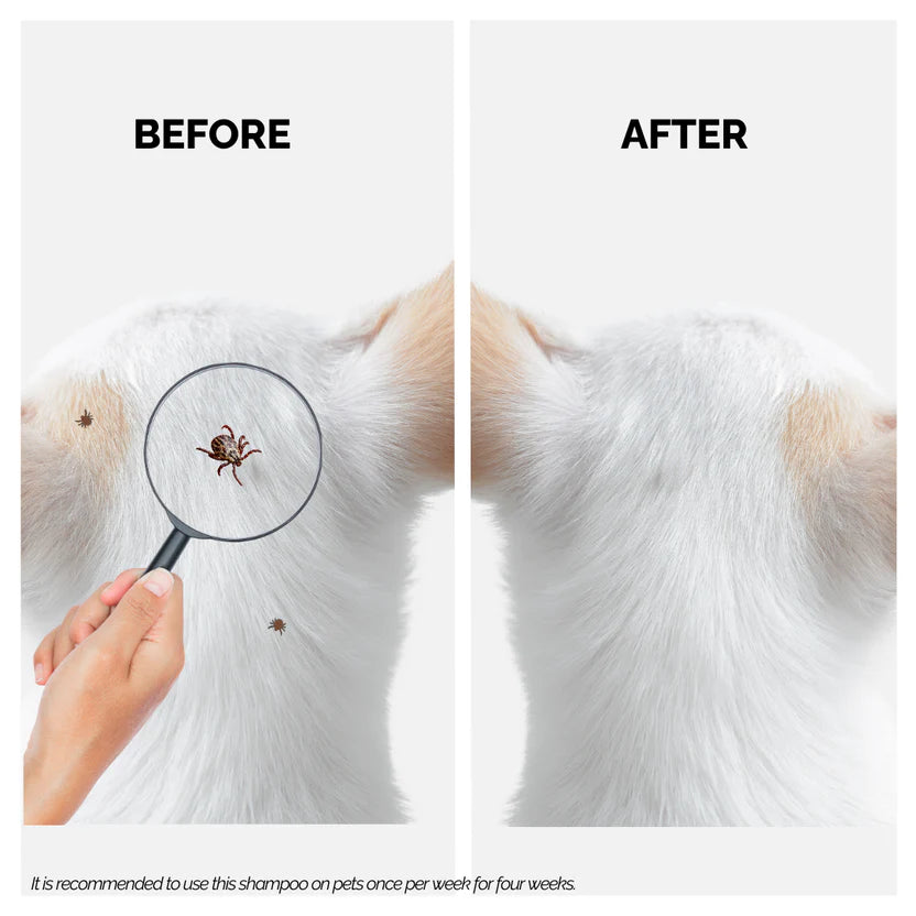 Moe Puppy Tick Defense Cruelty Free and Plant Based Formula Shampoo For Dogs and Cats 300ml