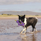 Beco Recycled Rough & Tough Narwhal Dog Toy
