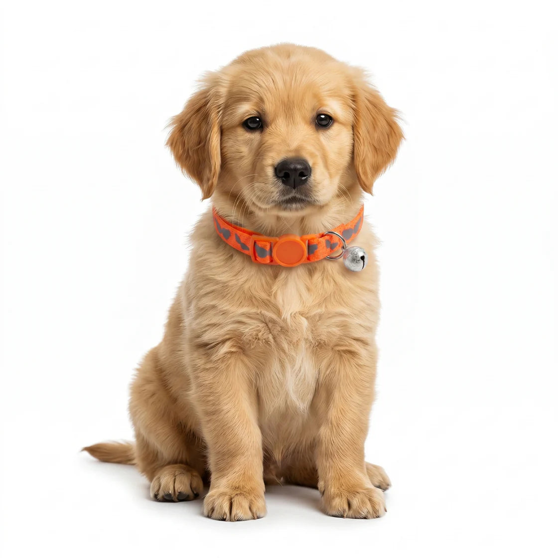 Basil Printed Adjustable Collar for Puppies & Cats – Stylish & Comfortable Design - Orange
