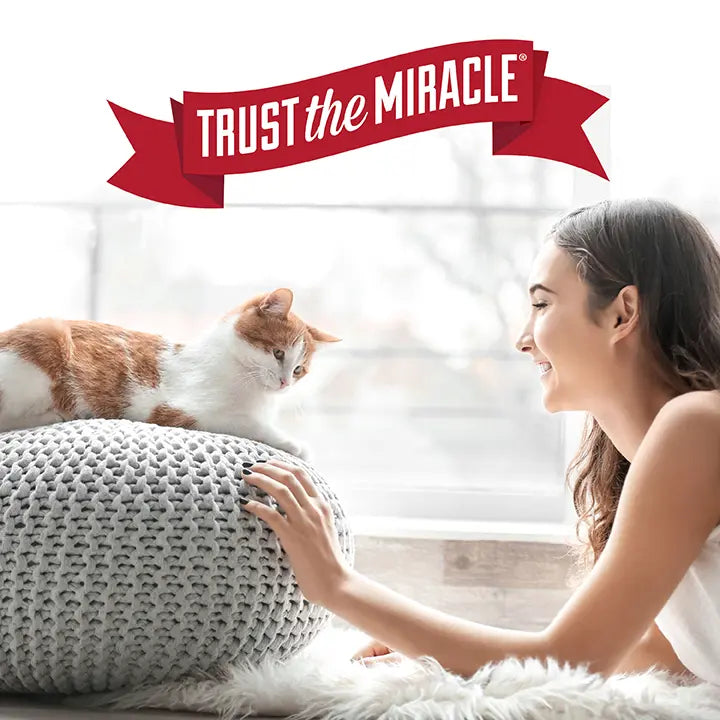 Nature's Miracle Cat Advanced Platinum No More Spraying For Indoor Training 709ml