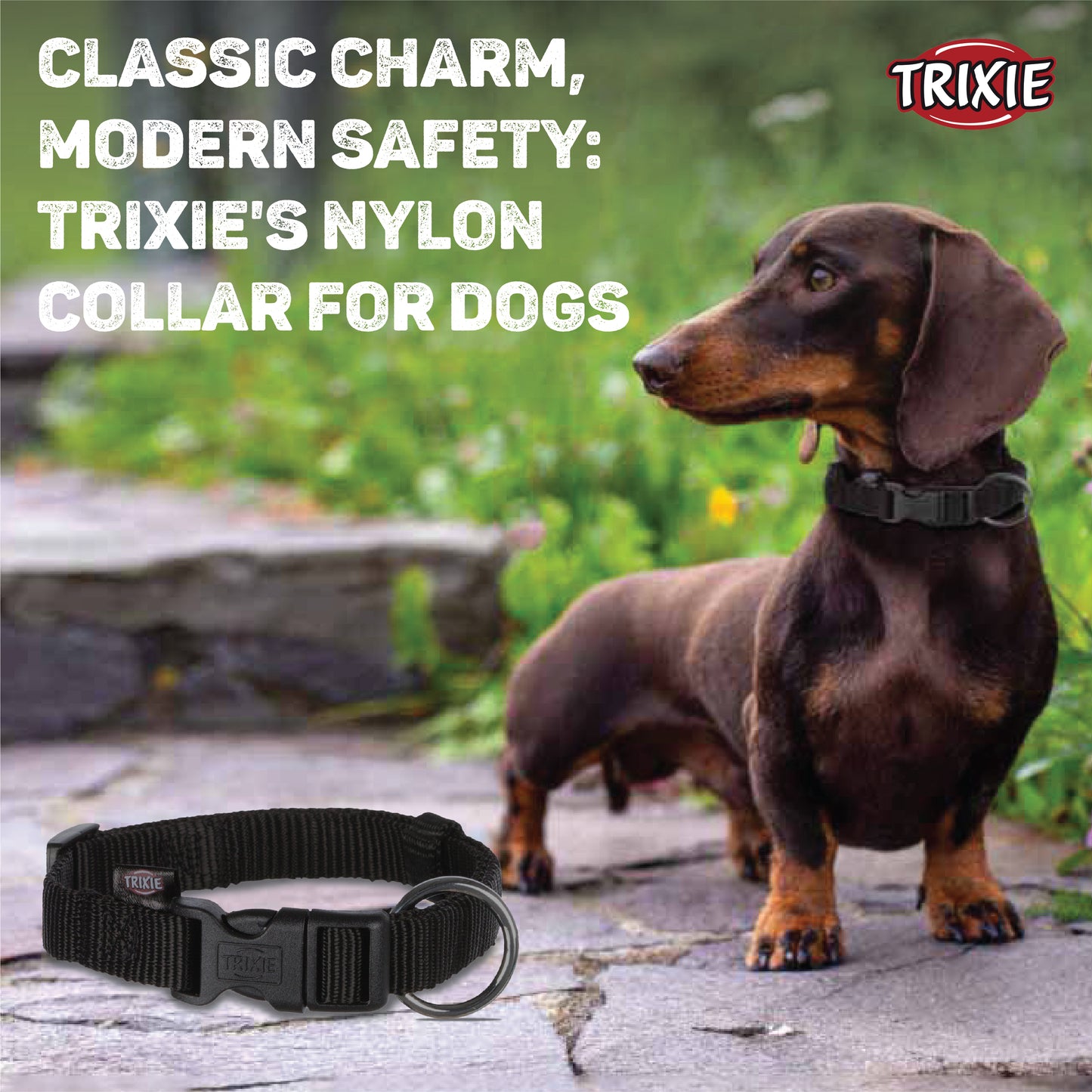 Trixie Puppy Collar Set of 6 Light Colors M/L